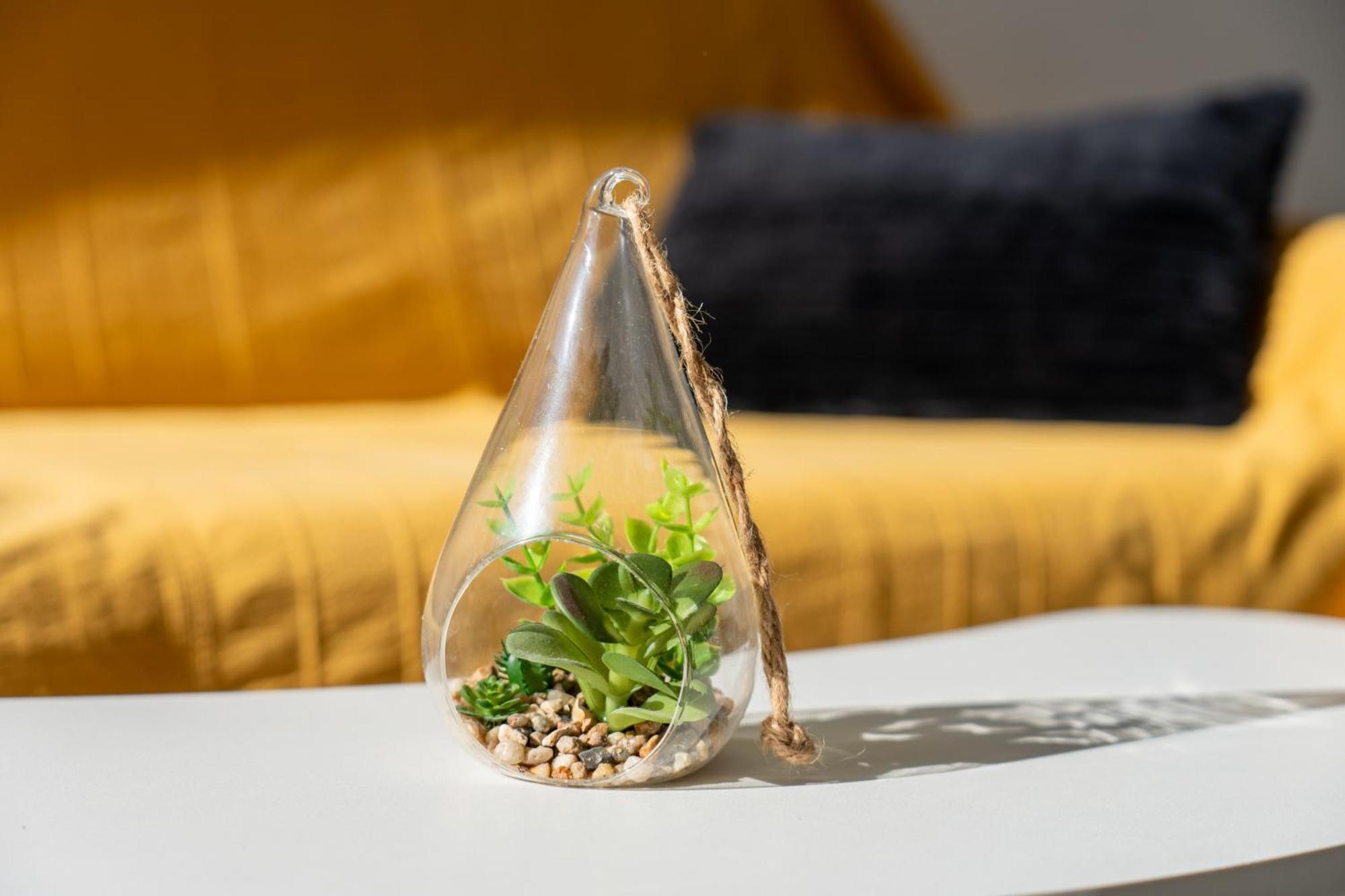 Sejournez les pieds dans l eau appartement classé 2 étoiles Agde Esterno foto